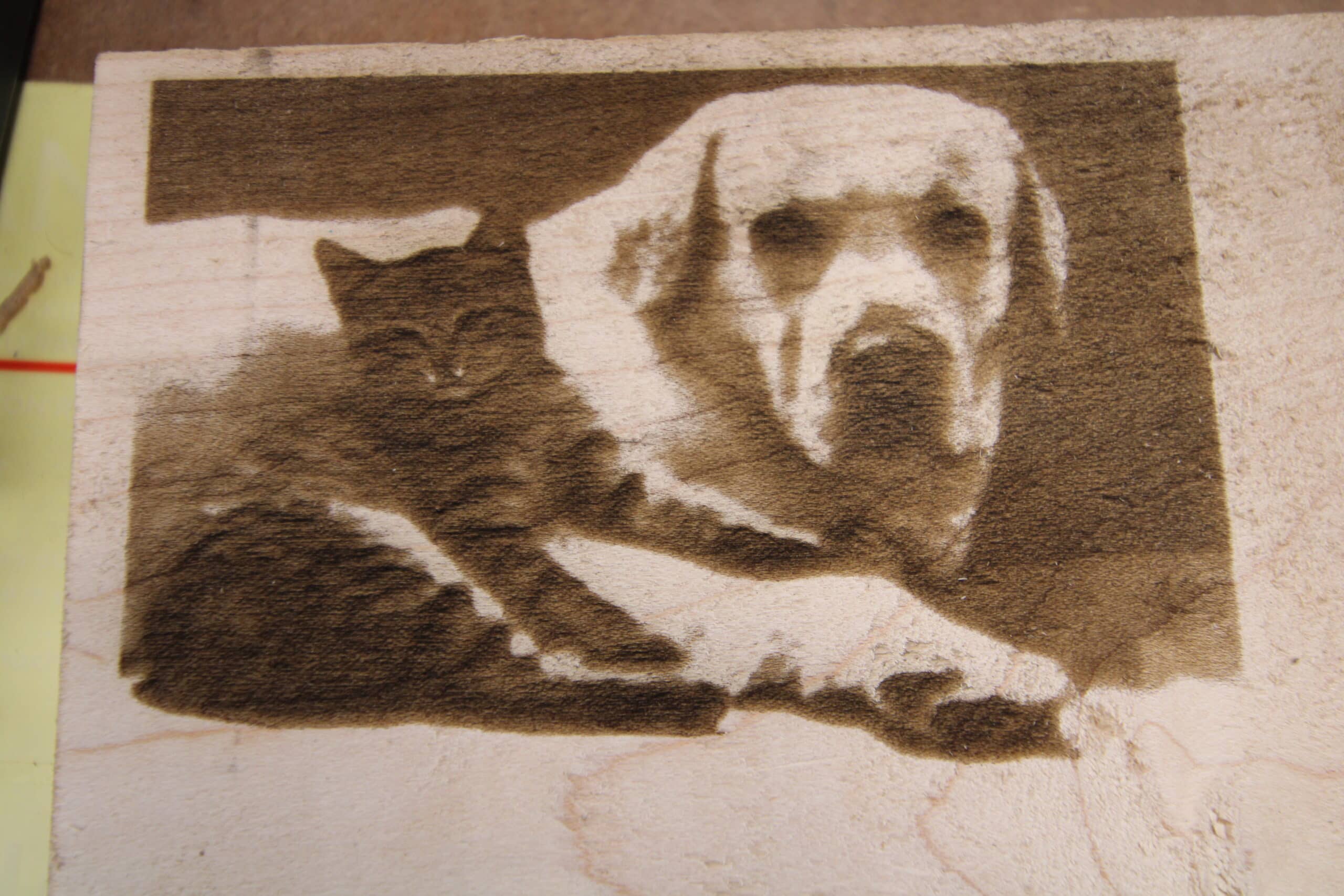 Laser engraved picture of dog and cat on Maple.